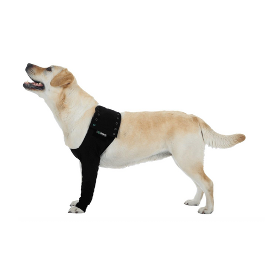 Recovery Sleeve L dog BLACK