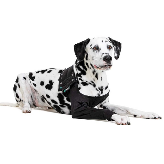 Recovery Sleeve XL dog BLACK