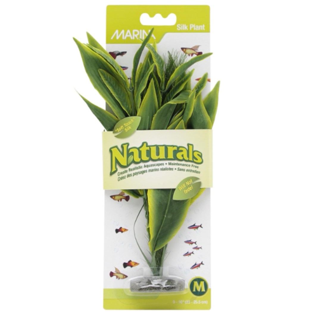 Marina Naturals Green Dracena Silk Plant - Medium