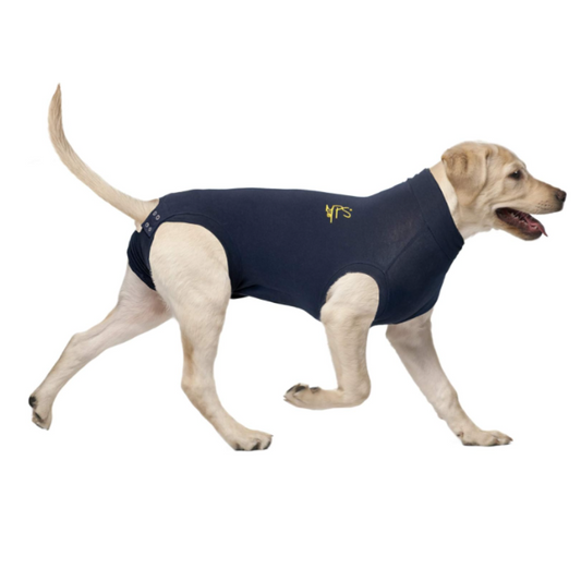 MPS Medical Pet Shirt Dog, Surgery Recovery Suit, Blue, Medium