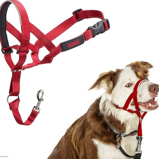 Halti Headcollar Size 2, Red - Medium Dogs