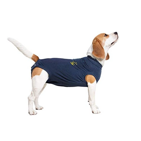 MPS Medical Pet Shirt Dog, Surgery Recovery Suit, Blue, Small/Plus