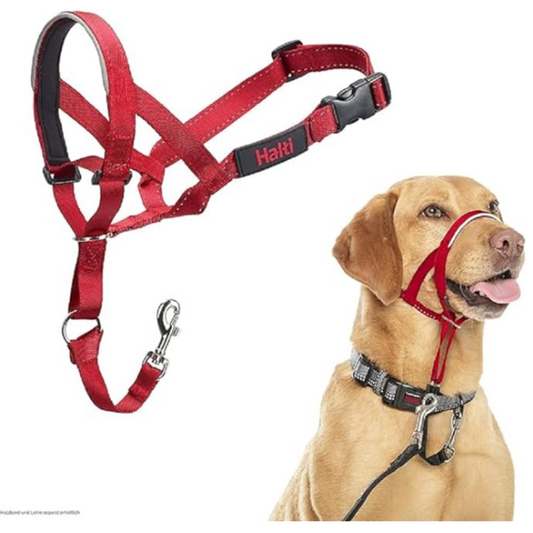 Halti Headcollar Size 3, Red - Medium Dogs