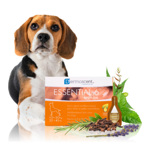 Dermoscent Essential 6-Spot-On for dogs 10-20Kg 4X1.2 ml