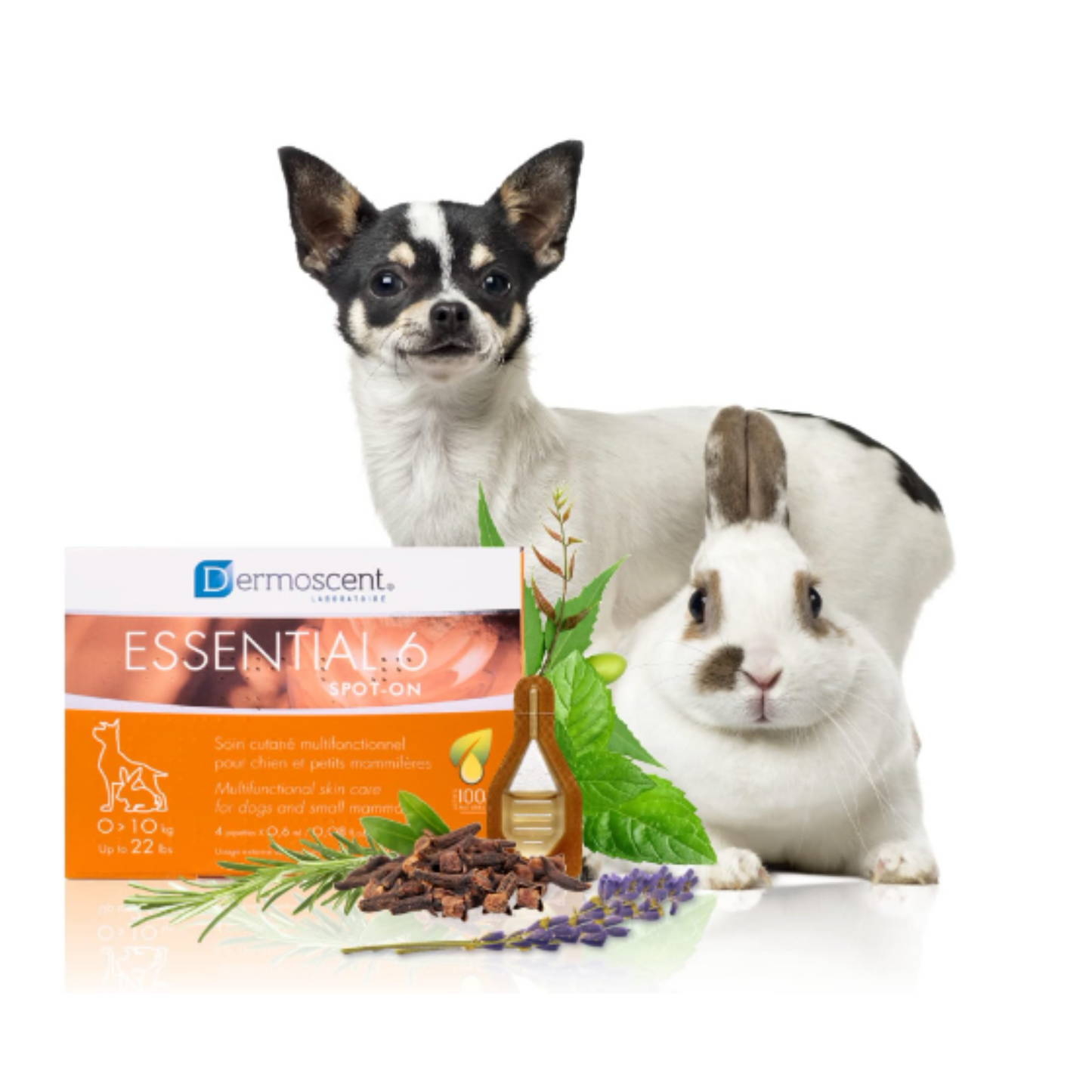 Dermoscent Essential 6-Spot-On for dogs 0-10Kg 4X0.6 ml