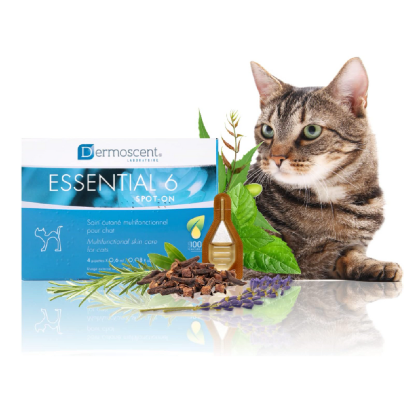 Dermoscent Essential 6 Spot-On for cats 4X0.6 ml