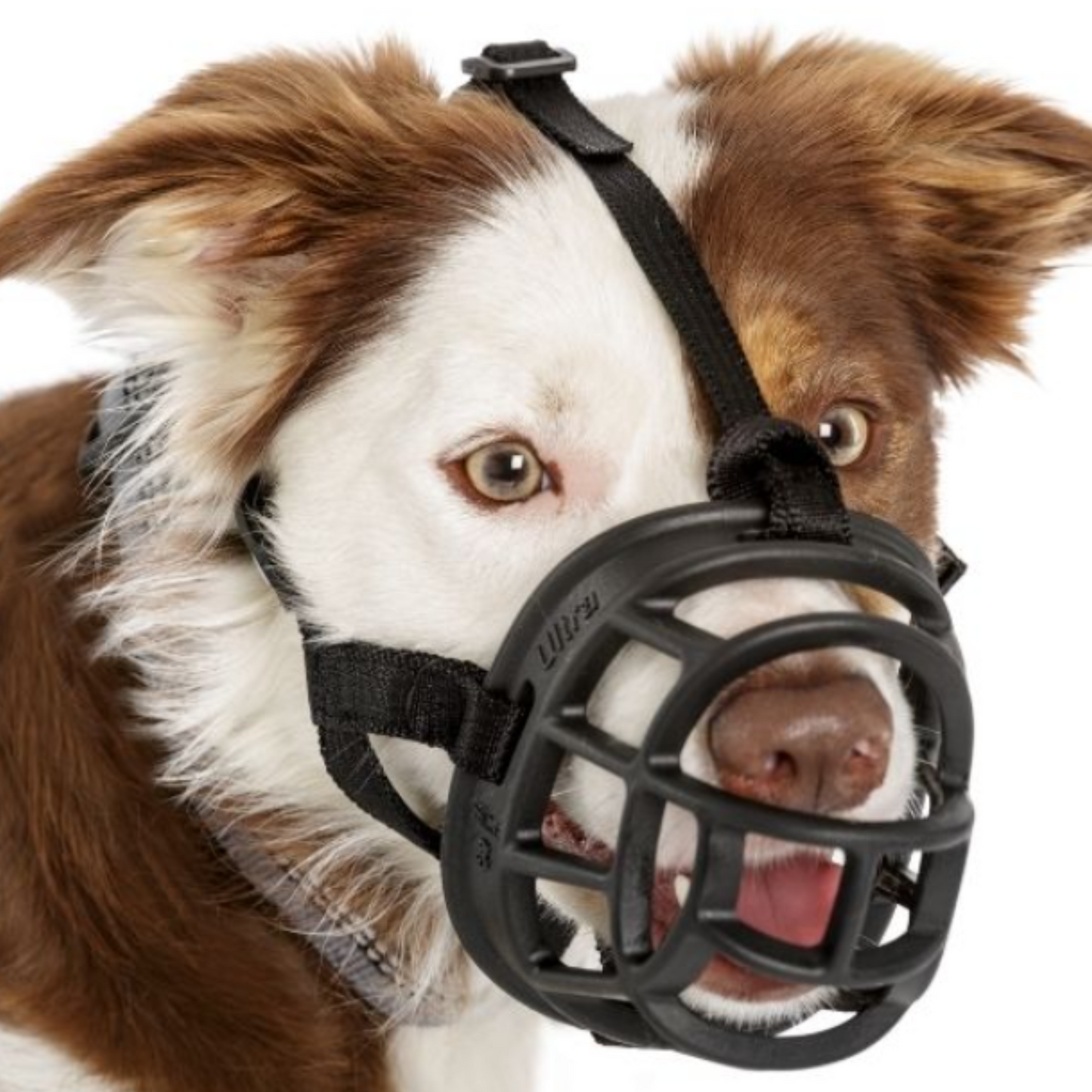 Baskerville Ultra Muzzle Size 3, Black - Medium Dogs