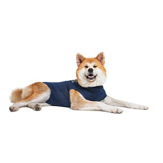 MPS Medical Pet Shirt Dog, Surgery Recovery Suit, Blue, X-Large