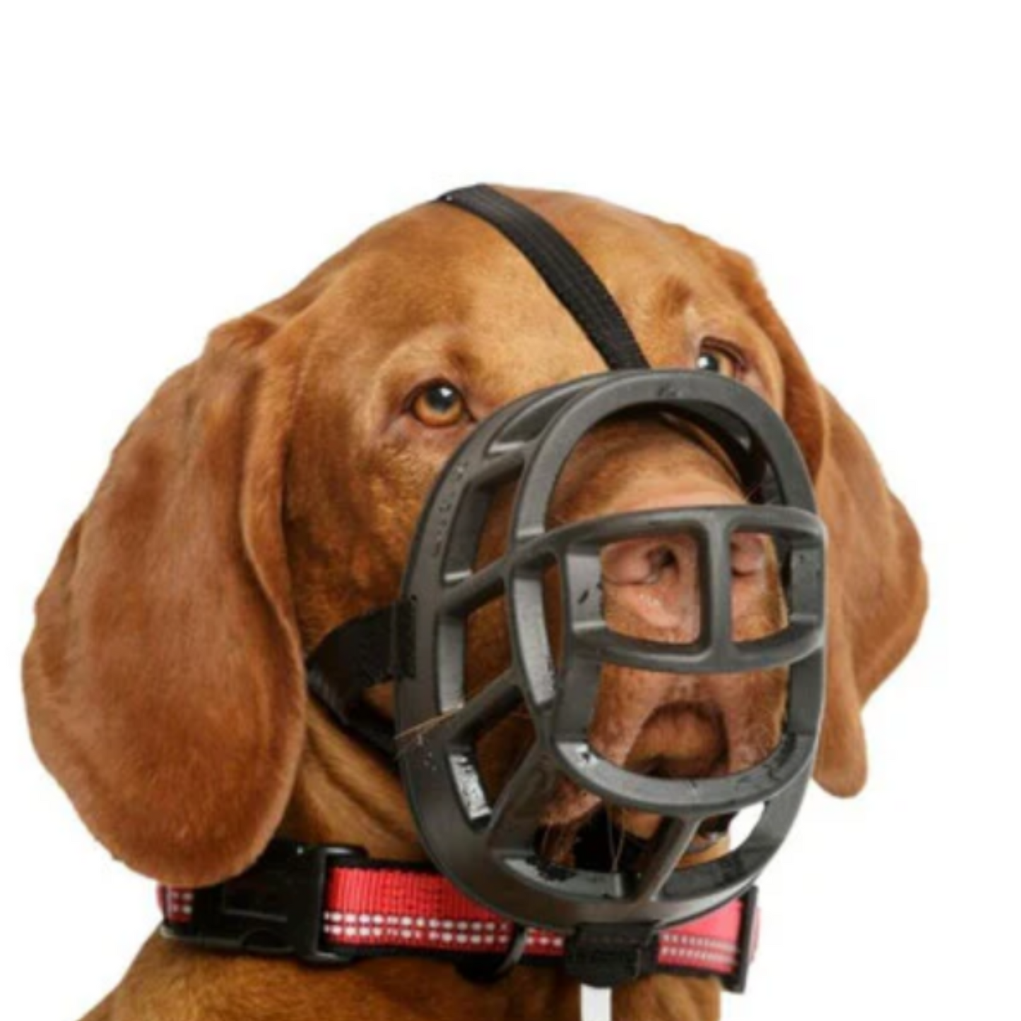 Baskerville Ultra Muzzle Size 4, Black - Medium Dogs