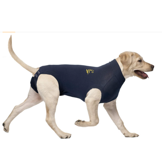 MPS Medical Pet Shirt Dog, Surgery Recovery Suit, Blue, Large