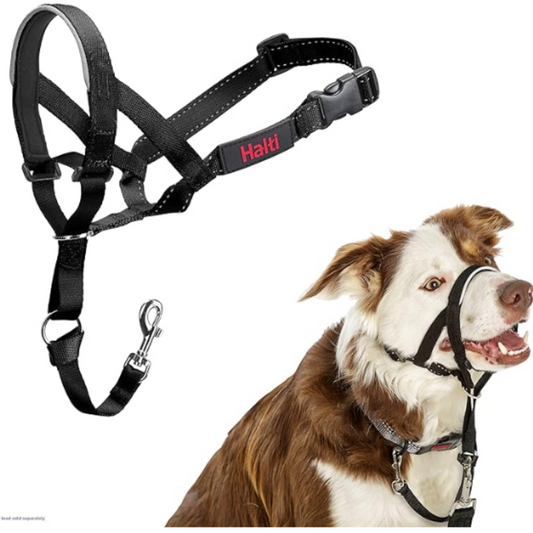 Halti Headcollar Size 2, Black - Medium Dogs