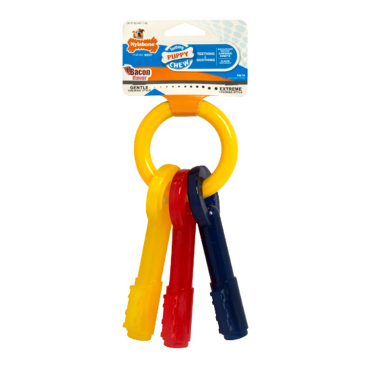 Nylabone Puppy Teething Keys Bacon Flavor - XS/Petite