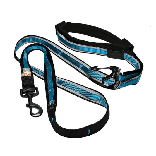 Kurgo Quantum 6-in-1 Dog Leash, Blue - Large