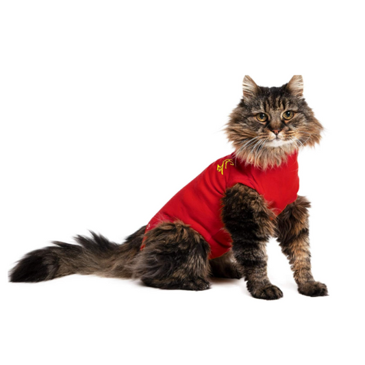 MPS Medical Pet Shirt Cat, Surgery Recovery Suit, Red, Small