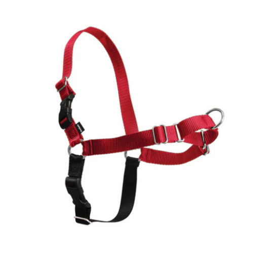 PetSafe Easy Walk Harness, Red/Black - Small Dogs