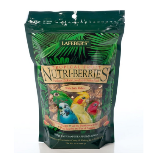 LAFEBER'S Tropical Fruit Nutri-Berries Pet Bird Food 10 oz