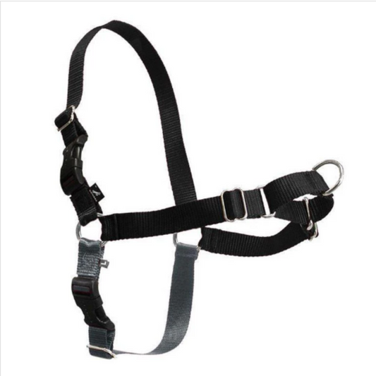 PetSafe Easy Walk Harness, Black/Silver - Medium Dogs