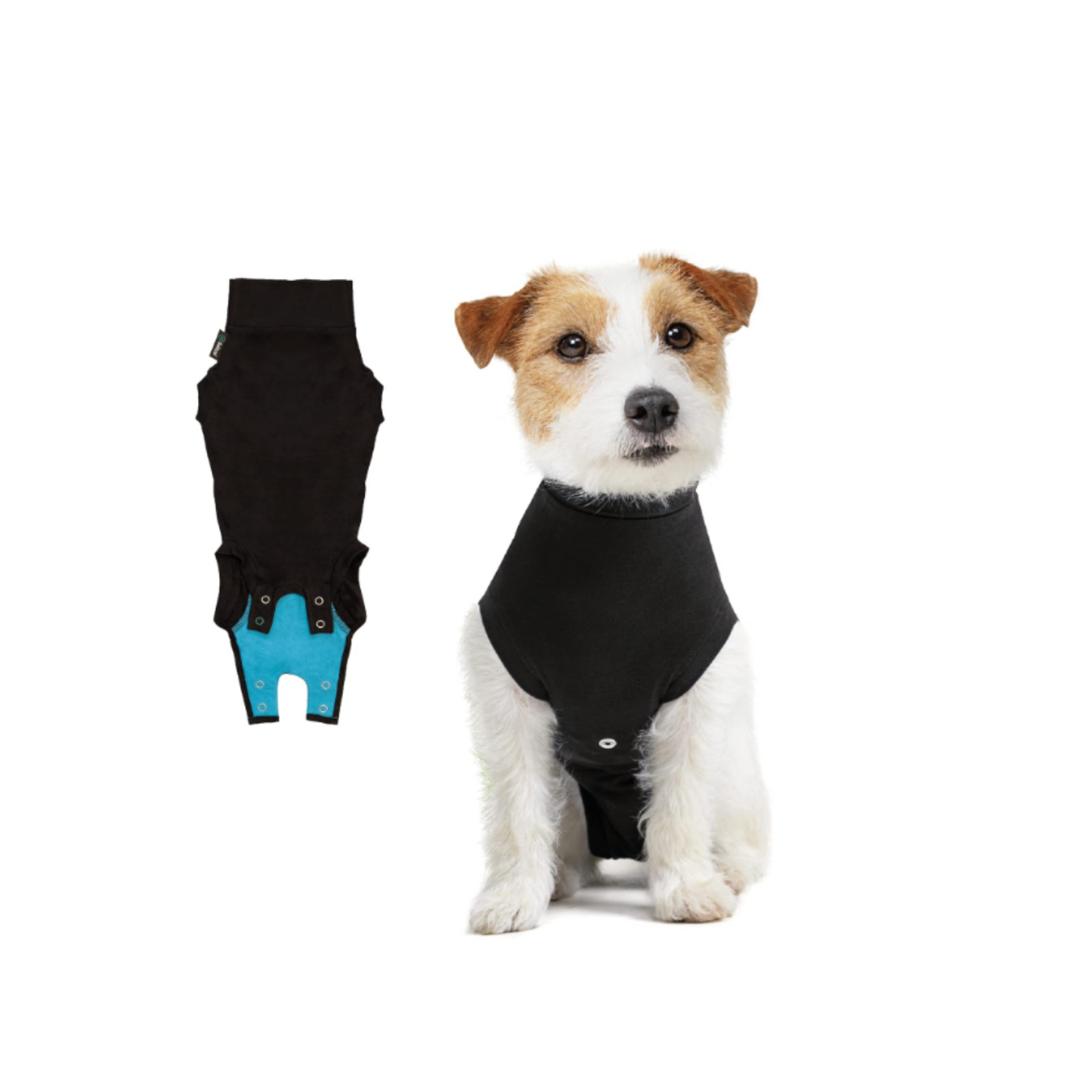 Recovery Suit 2XS dog L-33cm BLACK