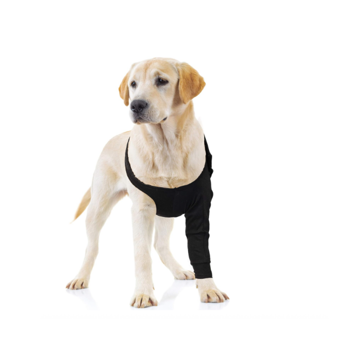 Recovery Sleeve M dog BLACK