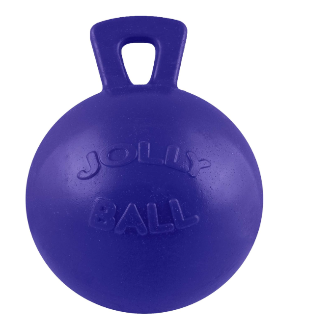 Jolly Pet  Ball Dark Blue "odourless" 25 cm