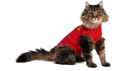 MPS Medical Pet Shirt Cat, Surgery Recovery Suit, Red, X-Small